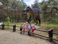 img_20250624_140253031_hdr-kopiowanie-jpg1754639571